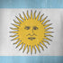 Argentina Flag Distressed iPhone X Pro Case